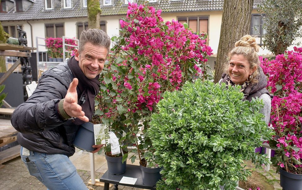 Fotografie von zwei Personen mit Pflanzen in der Hand