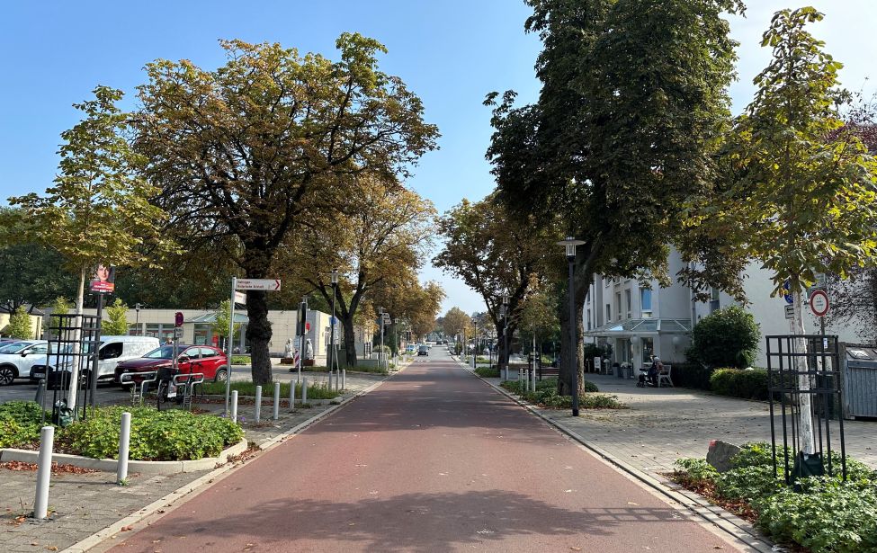 Fotografie der neuen Thingstraße