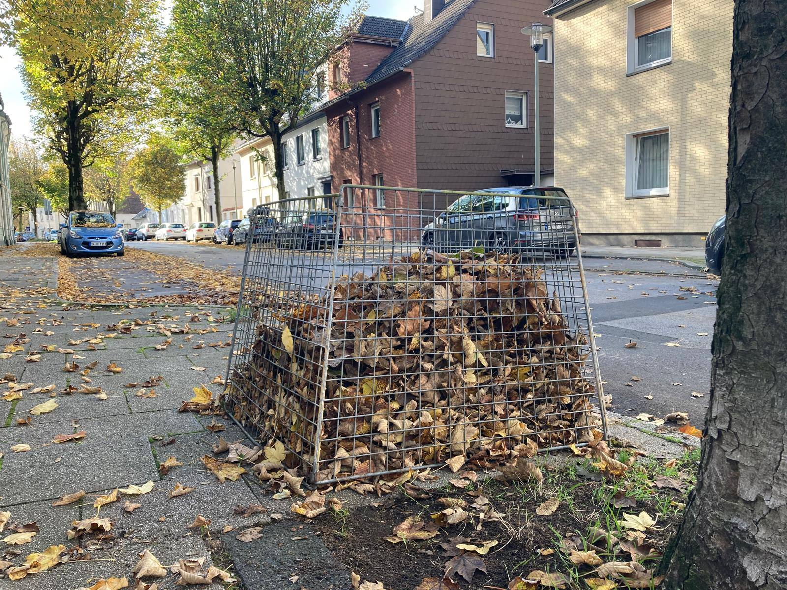 Laubkorb für städtischen Straßenbäume 