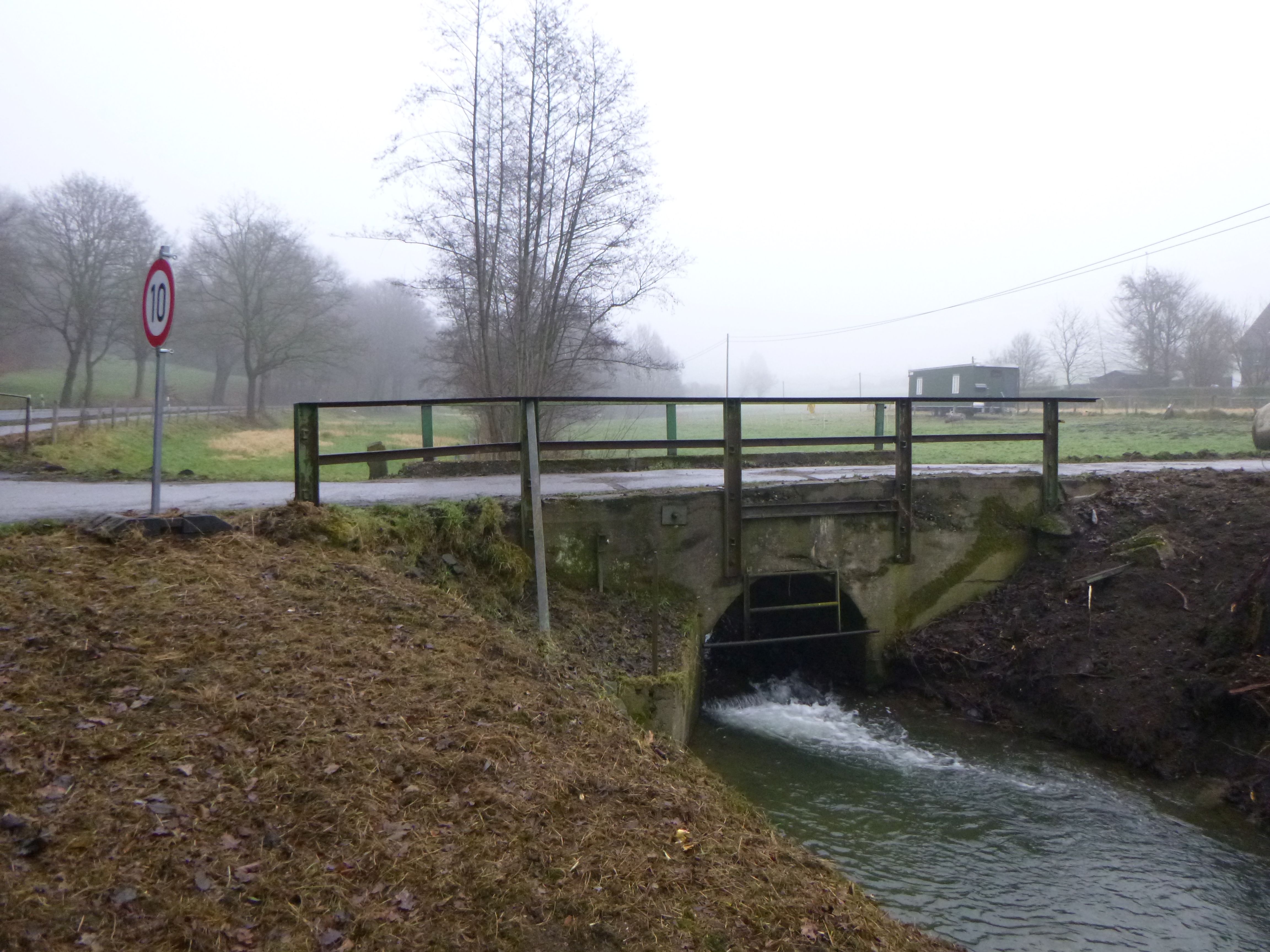 Brücke im Wodantal