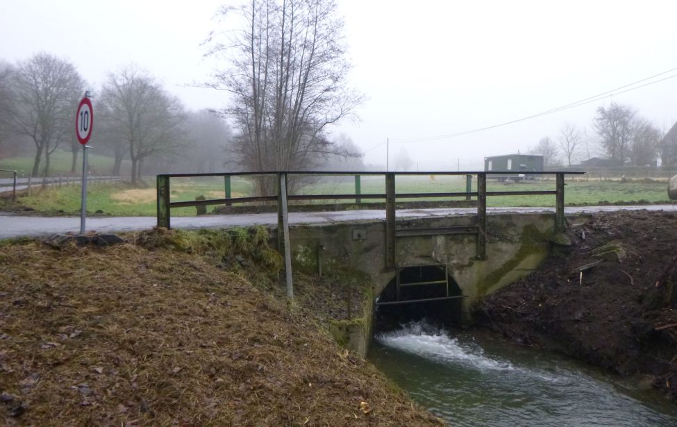 Brücke im Wodantal