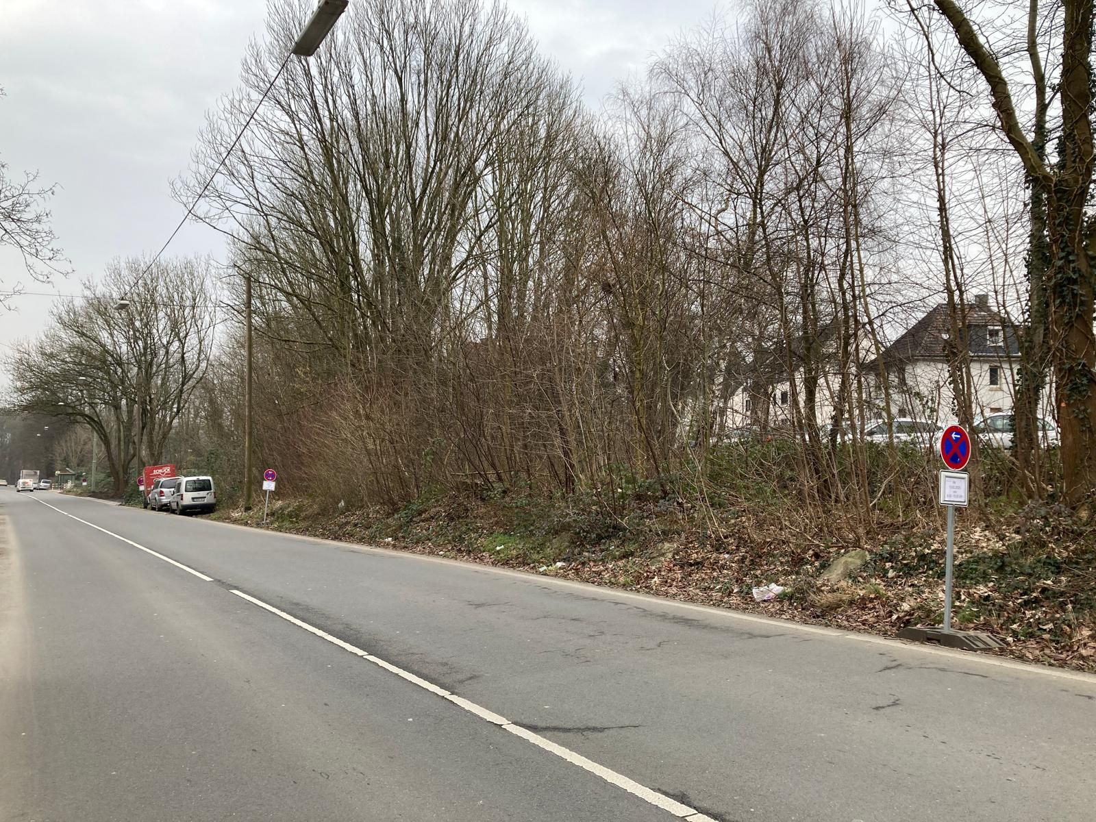 Bäume entlang der Blankensteiner Straße 