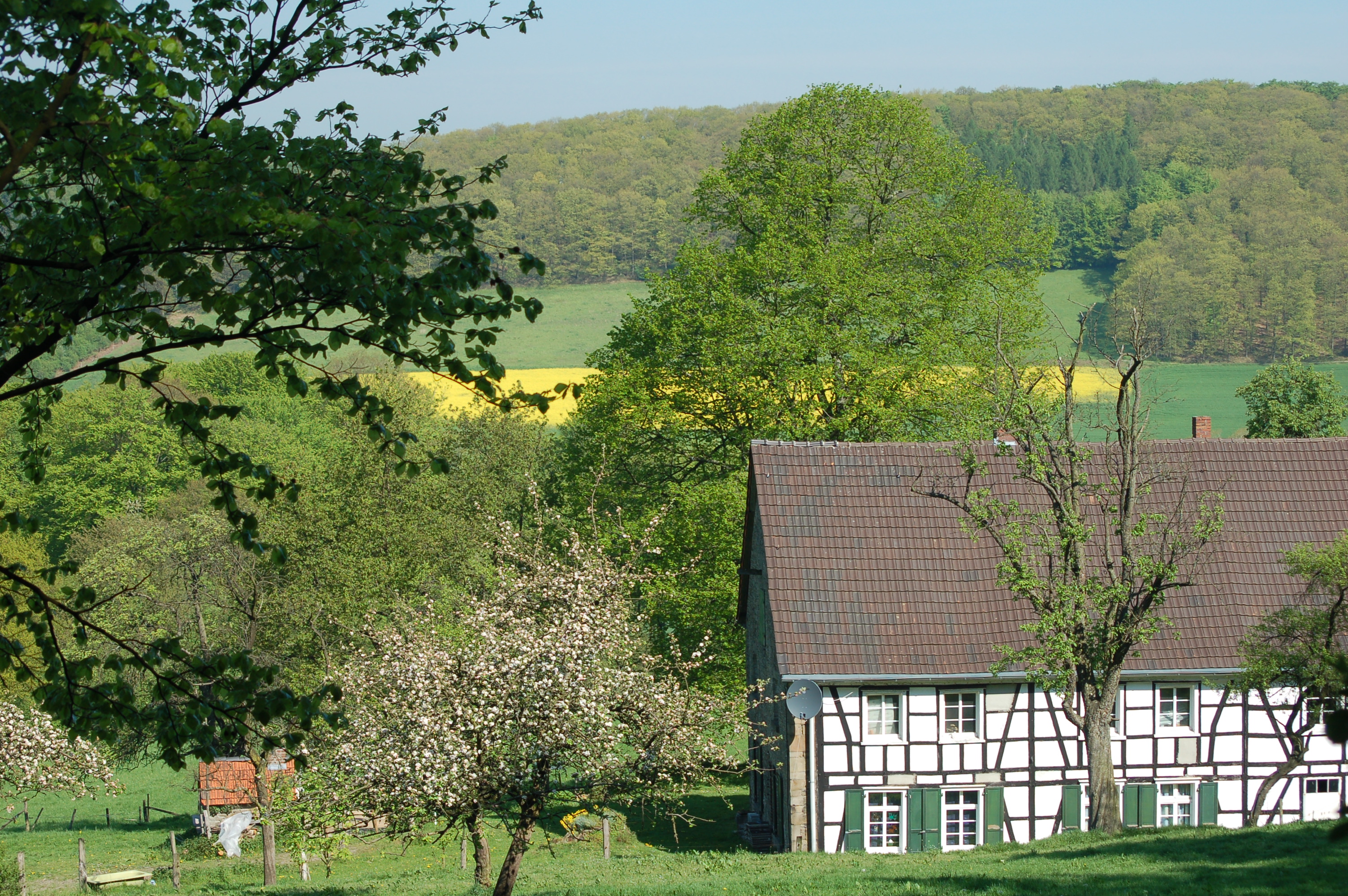 Hattinger Hügelland 