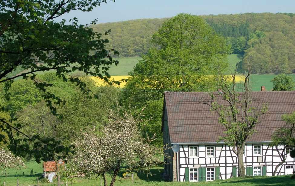 Fachwerkhaus in Elfringhausen