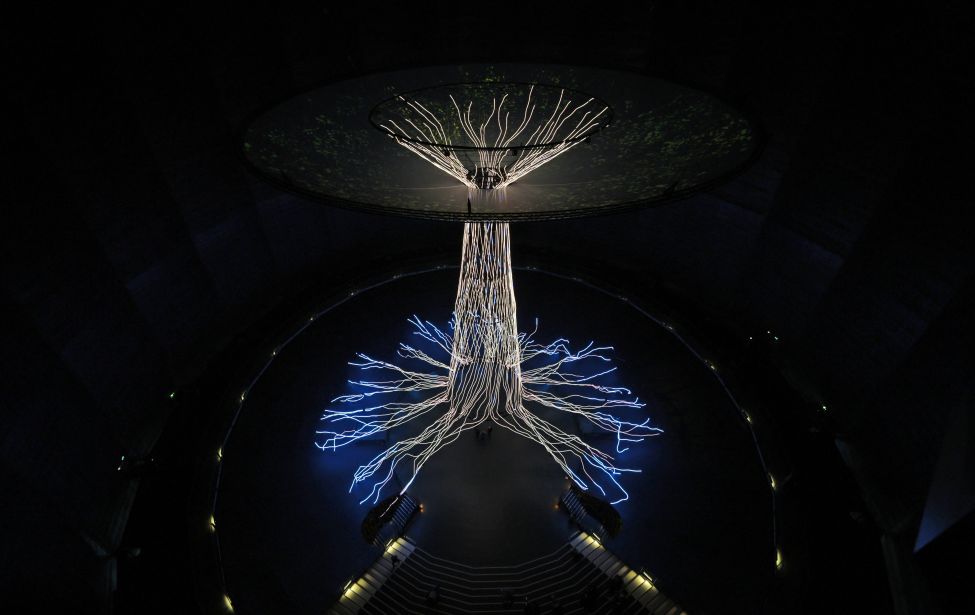 Fotografie der Lichtinstallation mit dem Titel "Der Baum"