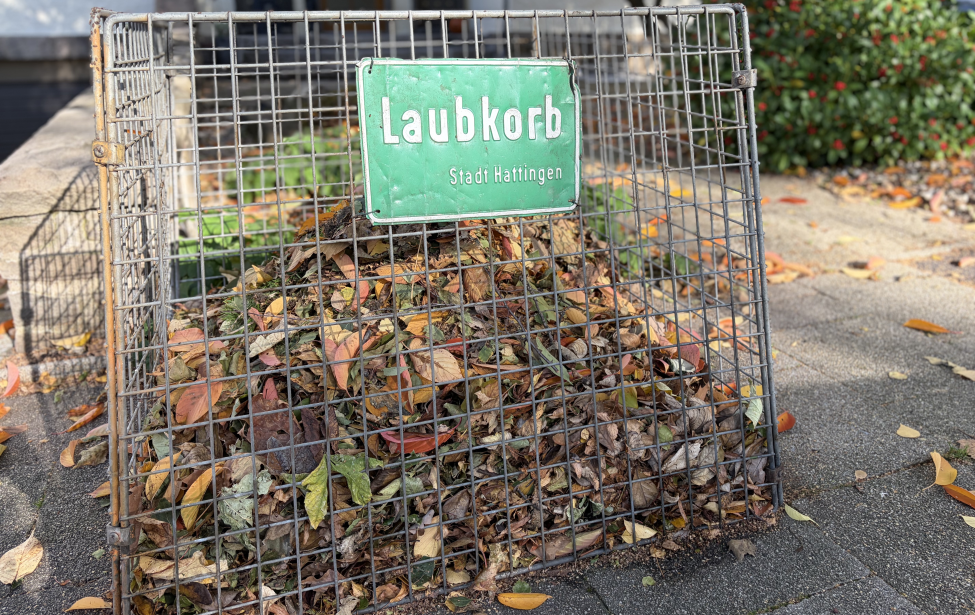 Befüllter Laubkorb in der Roonstraße